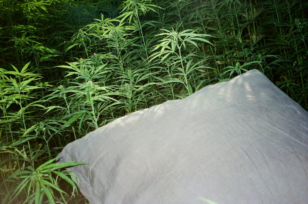 makuu™ Eco-smart Hemp Bedding
