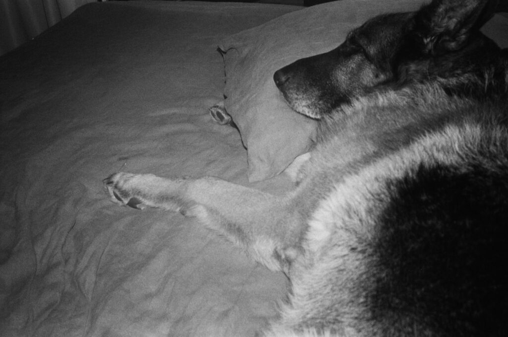 makuu™ Eco-smart Hemp Bedding